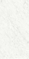 PL612555 Bianco Carrara Lucidato ret 60x120