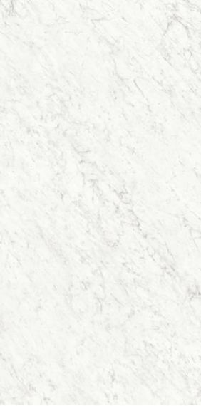 PL612555 Bianco Carrara Lucidato ret 60x120