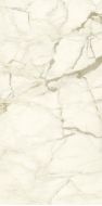 PL612575 Calacatta Macchia Vecchia Lucidato 60x120
