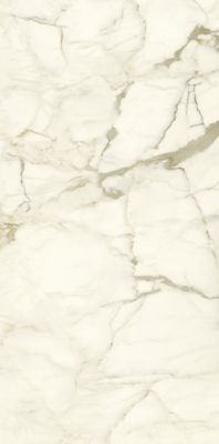PL612575 Calacatta Macchia Vecchia Lucidato 60x120
