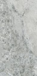 PL612608 Crystal Grey Lucidato 120x60