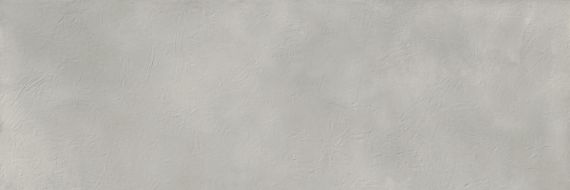 PLASTER DAR.UR.SIL.SF 300x100