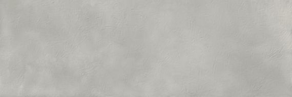 PLASTER DGF.MHR.CR.SE 300x100