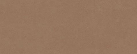 PLASTER DL.GMN.AC.NT RU 300x120