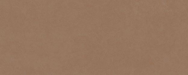 PLASTER DL.GMN.AC.NT RU 300x120