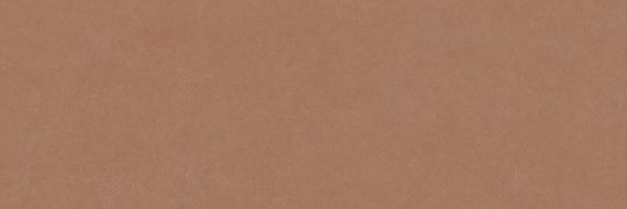 PLASTER DL.GMN.AC.NT 300x100