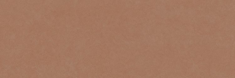 PLASTER DL.GMN.AC.NT 300x100