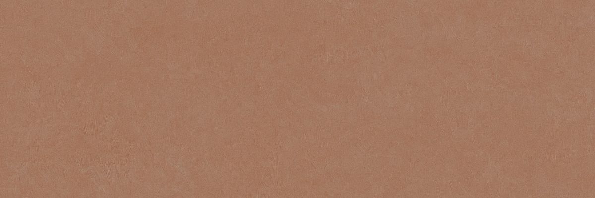 PLASTER DL.GMN.AC.NT 300x100