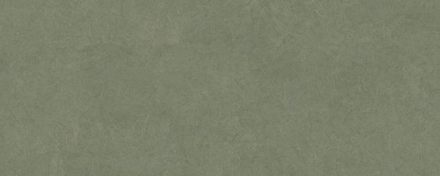 PLASTER DL.GMN.MS.NT RU 300x120