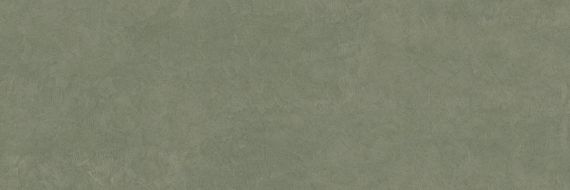 PLASTER DL.GMN.MS.NT 300x100