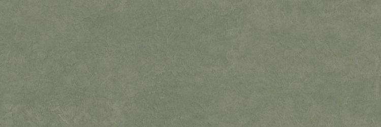 PLASTER DL.GMN.MS.NT 300x100