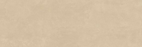 PLASTER DL.GMN.PL.NT 300x100