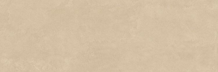 PLASTER DL.GMN.PL.NT 300x100