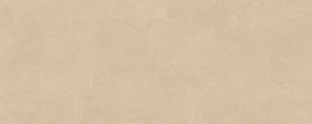 PLASTER DL.GMN.PL.NT RU 300x120