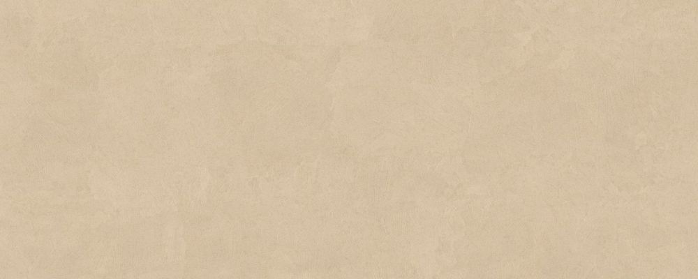 PLASTER DL.GMN.PL.NT RU 300x120