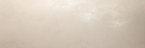 PLASTER DL.OX.AV.NT RU 300x100