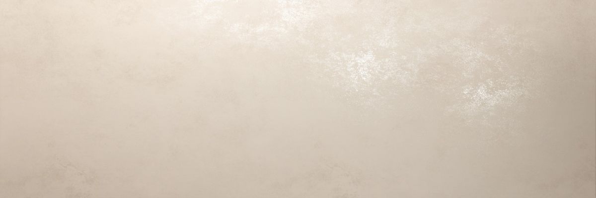 PLASTER DL.OX.AV.NT RU 300x100