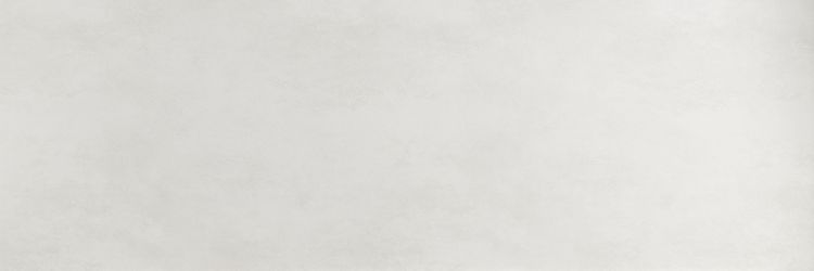 PLASTER DL.OX.BN.NT RU 300x100