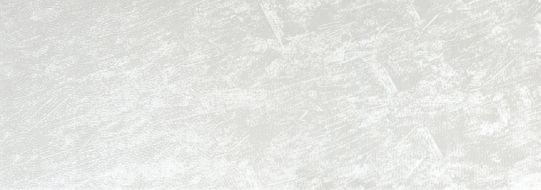 POLO BLANCO 31,6X90