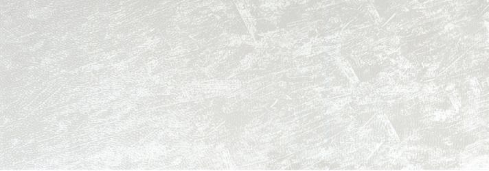 POLO BLANCO 31,6X90