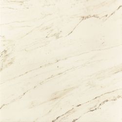 PP-01-160-0598-0598-1-011 Larda white POL 59,8x59,8