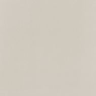 PP-01-165-0598-0598-1-095 Elementary dust MAT 59,8x59,8