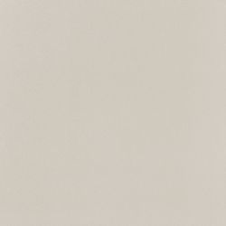 PP-01-165-0598-0598-1-095 Elementary dust MAT 59,8x59,8
