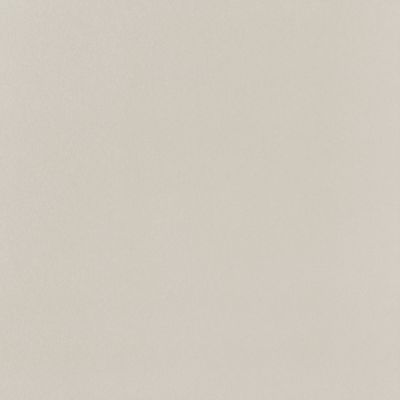 PP-01-165-0598-0598-1-095 Elementary dust MAT 59,8x59,8