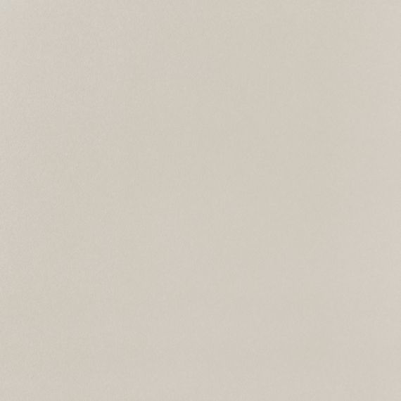 PP-01-165-0598-0598-1-095 Elementary dust MAT 59,8x59,8