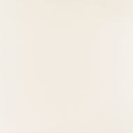PP-01-165-0598-0598-1-101 Elementary white MAT 59,8x59,8