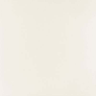 PP-01-165-0598-0598-1-101 Elementary white MAT 59,8x59,8