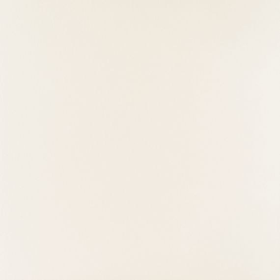 PP-01-165-0598-0598-1-101 Elementary white MAT 59,8x59,8