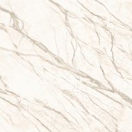 PR016060N Prima коричневый 60x60