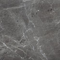 PR108 Ardesia Grafito Polished 600x600