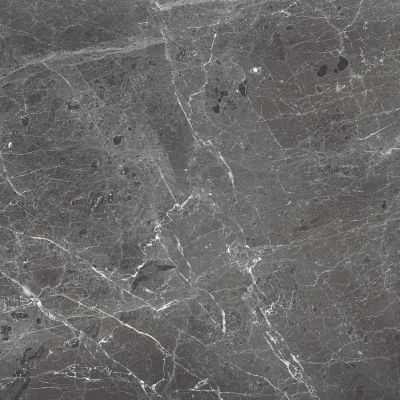 PR108 Ardesia Grafito Polished 600x600