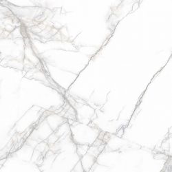 PR114 Arena White Polished 600x600
