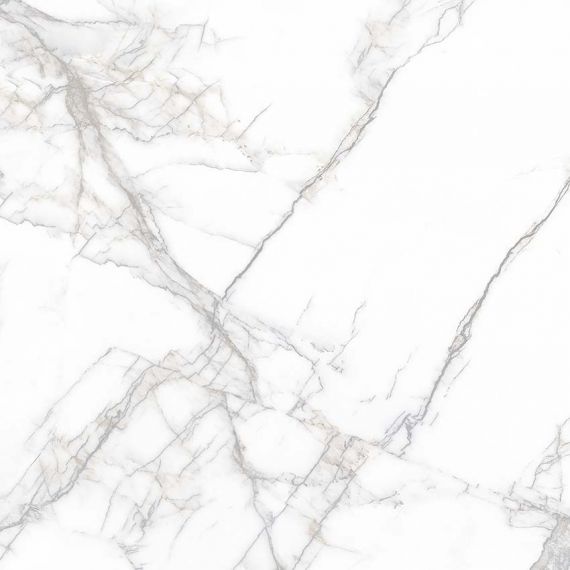PR114 Arena White Polished 600x600