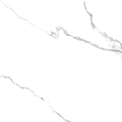 PR150 Керамогранит Acothly Polished 60x60