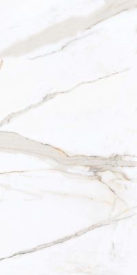 PR203 Regal Carara Polished 600x1200