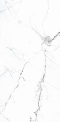PR206 Colonial White Polished 600x1200