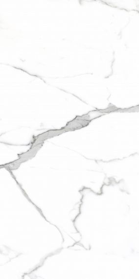 PR207 Salvatore Polished 600x1200