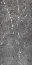 PR208 Ardesia Grafito Polished 600x1200