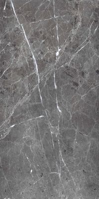 PR208 Ardesia Grafito Polished 600x1200