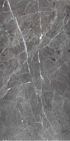 PR208 Ardesia Grafito Polished 600x1200
