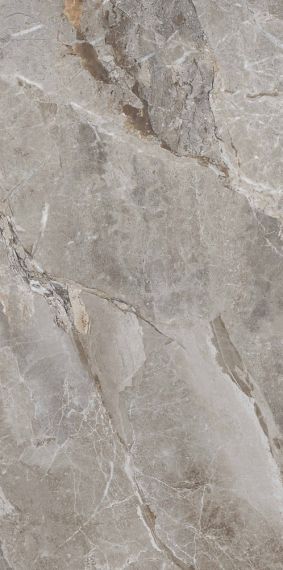 PR209 Essence Grey Polished 600x1200