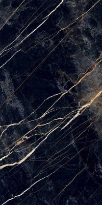 PR211 Namibia Black High glossy 600x1200