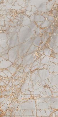 PR212 Golden Grey High glossy 600x1200