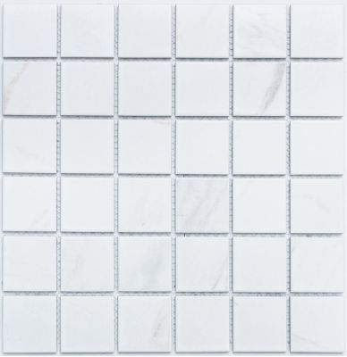 PR4848-32 Мозаика Porcelain 306х306