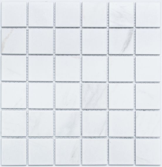 PR4848-32 Мозаика Porcelain 306х306