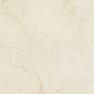 PR6060L Dynasty Rectificado 59x59